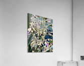 V1400 Acrylic Print