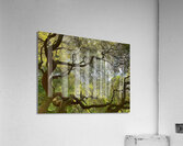 V1403 Acrylic Print