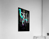 V1408 Acrylic Print