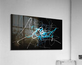 V1409 Acrylic Print