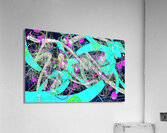 V1410 Acrylic Print