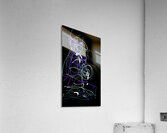 V1413 Acrylic Print