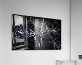 V1423 Acrylic Print
