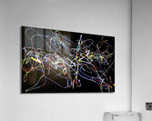 V1432 Acrylic Print