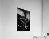 V1436 Acrylic Print