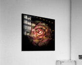 V1444 Acrylic Print