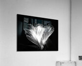 V1453 Acrylic Print