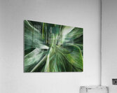V1454 Acrylic Print