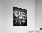 V1455 Acrylic Print
