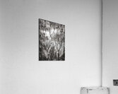 V1464 Acrylic Print