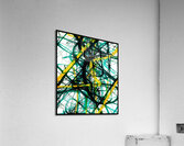 V1469 Acrylic Print