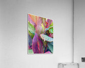 V1485 Acrylic Print