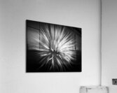 V1486 Acrylic Print