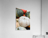 V1491 Acrylic Print