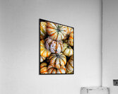 V1492 Acrylic Print