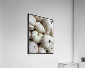 V1493 Acrylic Print