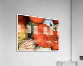V1497 Acrylic Print