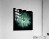 V1498 Acrylic Print