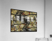 V1503 Acrylic Print