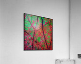 V1514 Acrylic Print