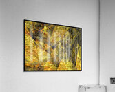 V1515 Acrylic Print