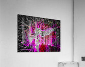 V1519 Acrylic Print