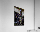 V1524 Acrylic Print