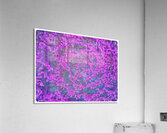 V1533 Acrylic Print