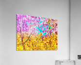 V1535 Acrylic Print