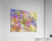 V1542 Acrylic Print