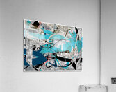 V1544 Acrylic Print