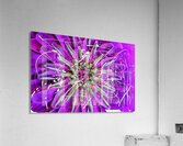 V1545 Acrylic Print