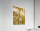 V1547 Acrylic Print