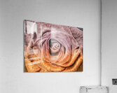 V1549 Acrylic Print