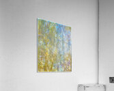 V1550 Acrylic Print