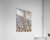V1552 Acrylic Print