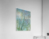 V1557 Acrylic Print