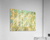 V1560 Acrylic Print