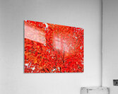 V1561 Acrylic Print