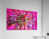 V1562 Acrylic Print