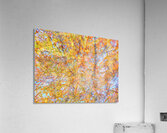 V1566 Acrylic Print