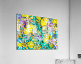 V1569 Acrylic Print