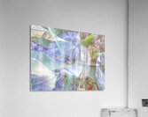 V1577 Acrylic Print