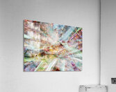 V1587 Acrylic Print