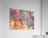 V1599 Acrylic Print