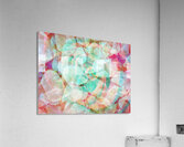 V1602 Acrylic Print