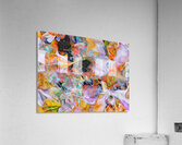 V1603 Acrylic Print