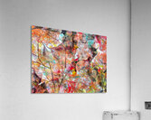 V1605 Acrylic Print