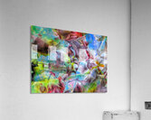 V1607 Acrylic Print