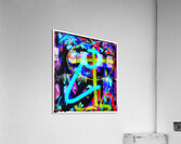 V1613 Acrylic Print